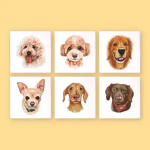 Wundervolle süße Hunde